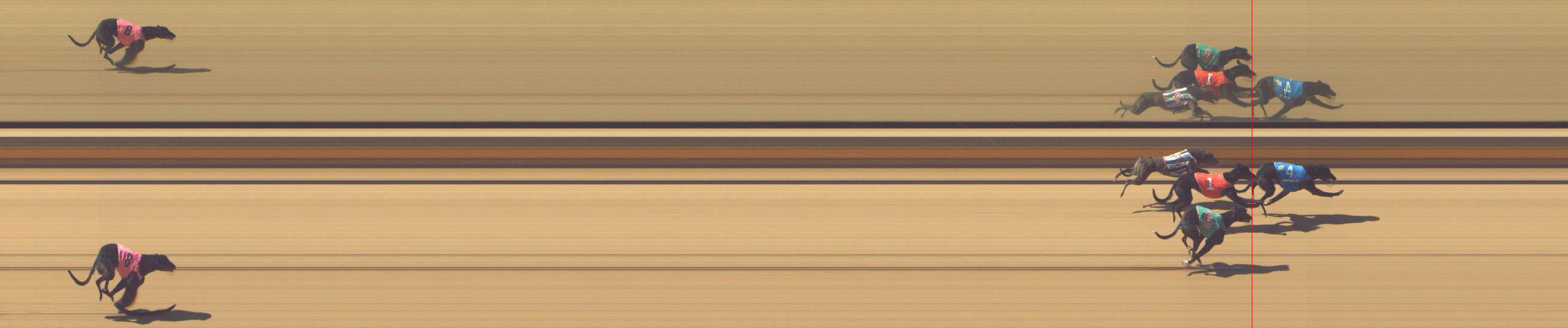 Photo finish for Shepparton Race 2