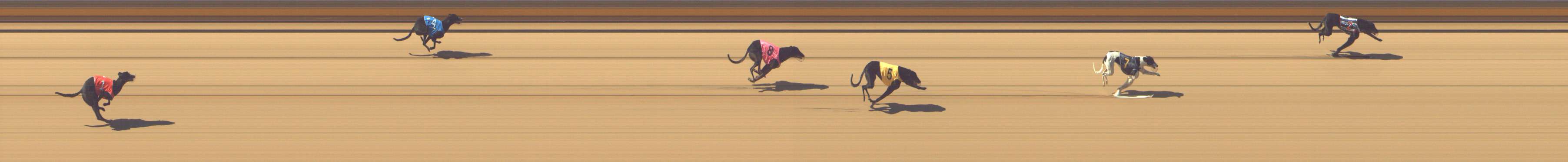 Photo finish for Shepparton Race 3