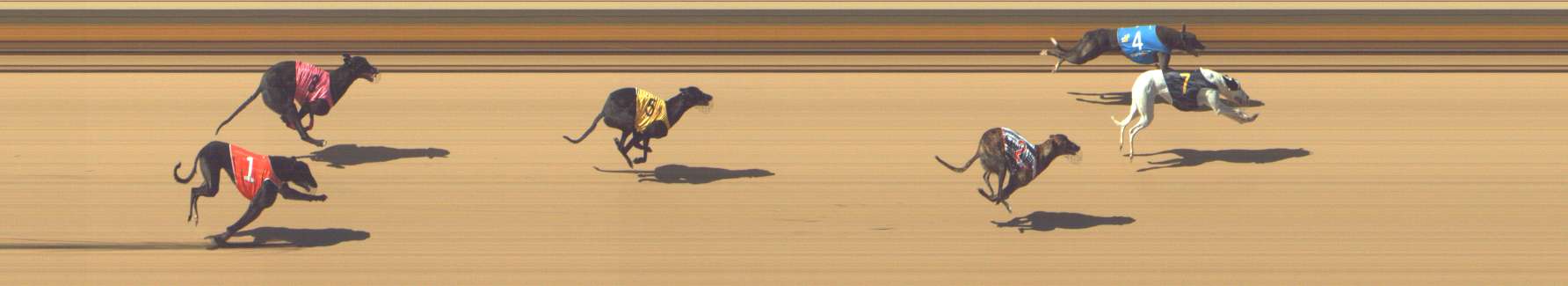 Photo finish for Shepparton Race 4