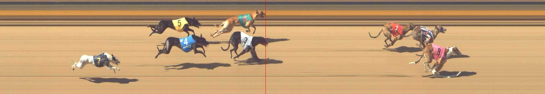 Photo finish for Shepparton Race 5