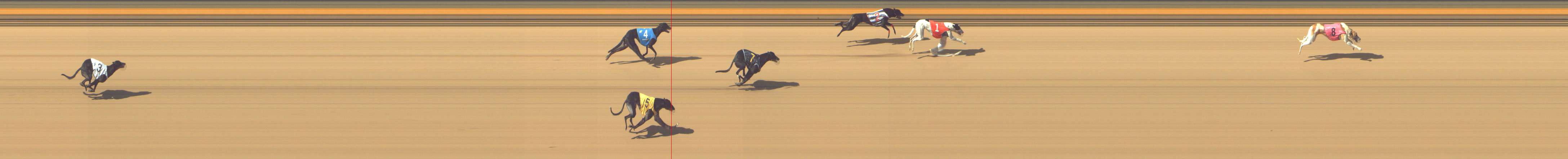 Photo finish for Shepparton Race 6