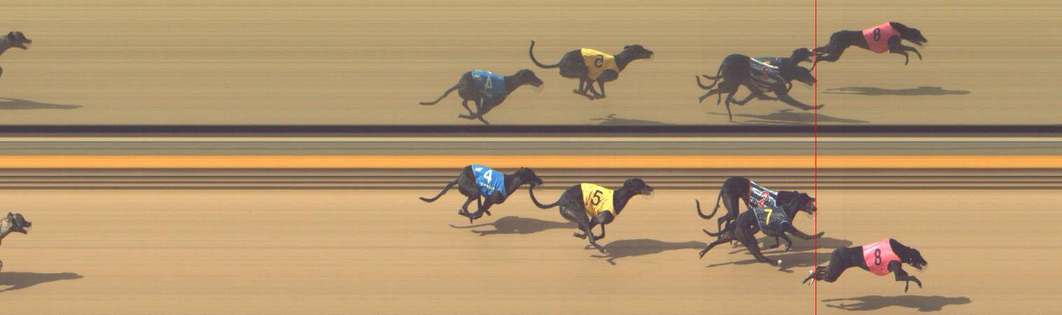 Photo finish for Shepparton Race 7