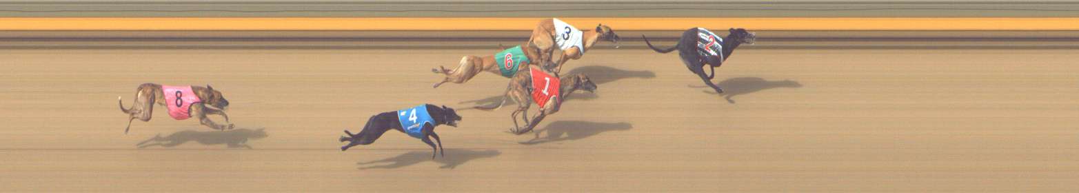 Photo finish for Shepparton Race 8