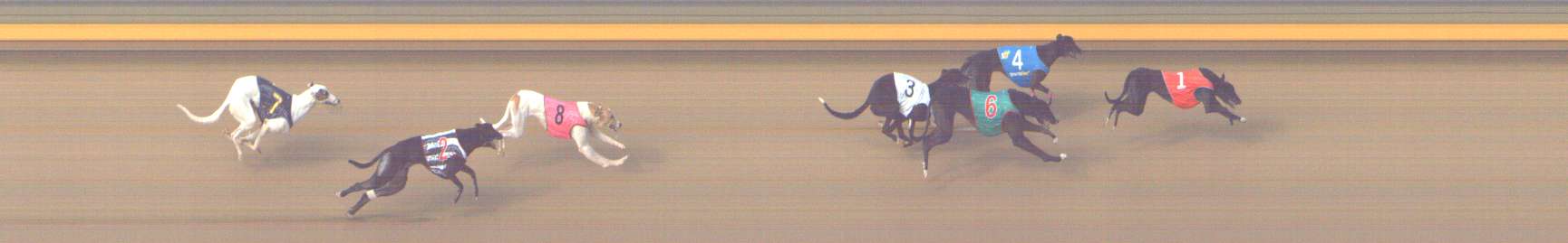 Photo finish for Shepparton Race 9