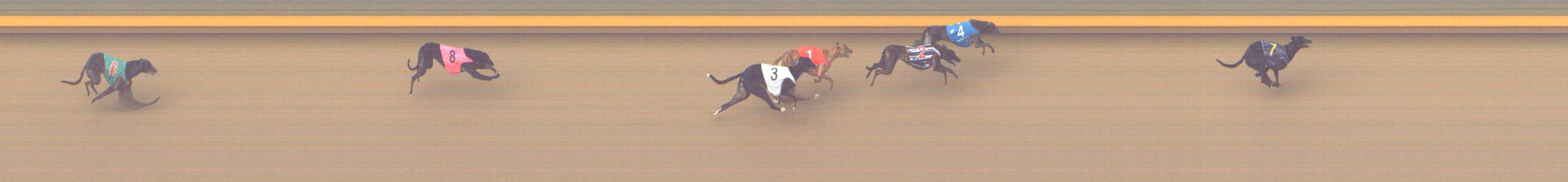 Photo finish for Shepparton Race 10
