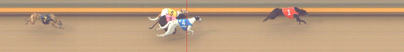 Photo finish for Shepparton Race 11