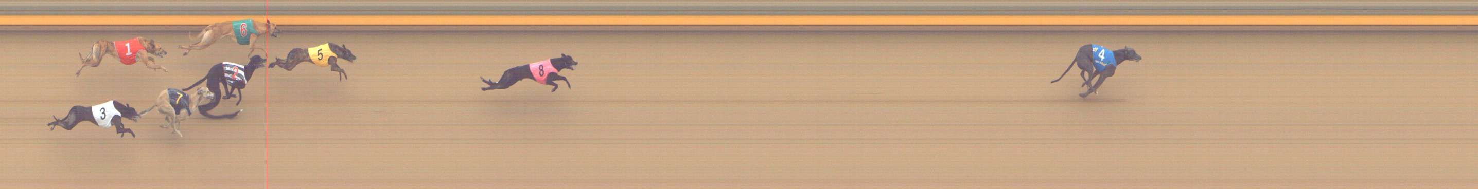 Photo finish for Shepparton Race 12