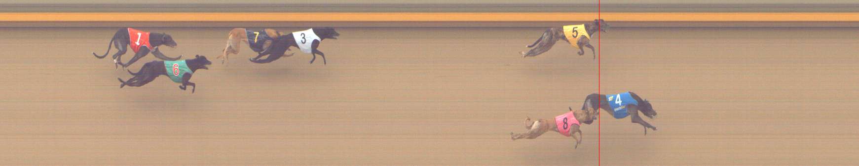 Photo finish for Shepparton Race 13