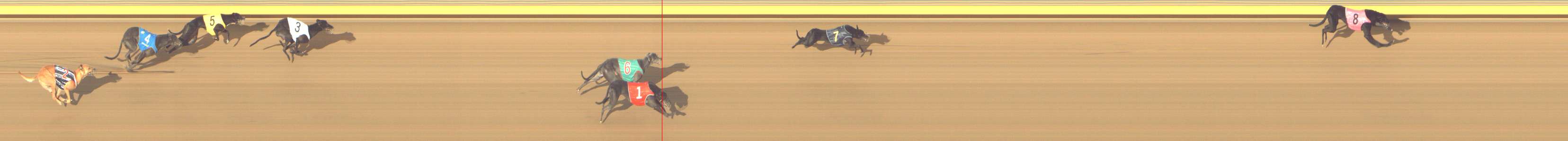 Photo finish for Shepparton Race 14