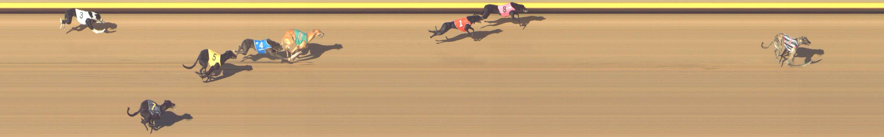 Photo finish for Shepparton Race 1