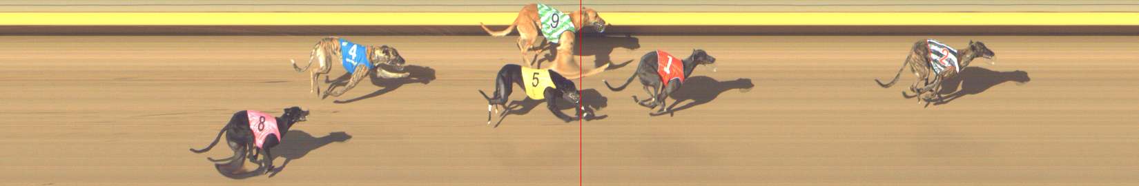 Photo finish for Shepparton Race 2