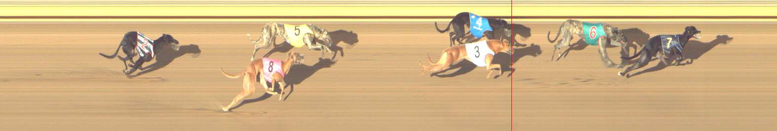 Photo finish for Shepparton Race 4