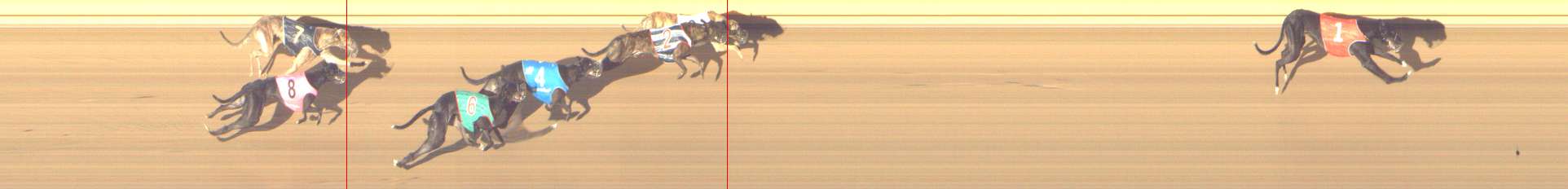 Photo finish for Shepparton Race 5