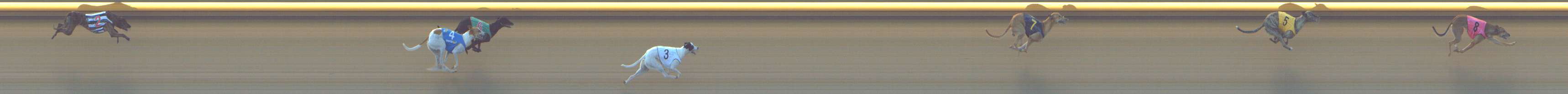Photo finish for Shepparton Race 7