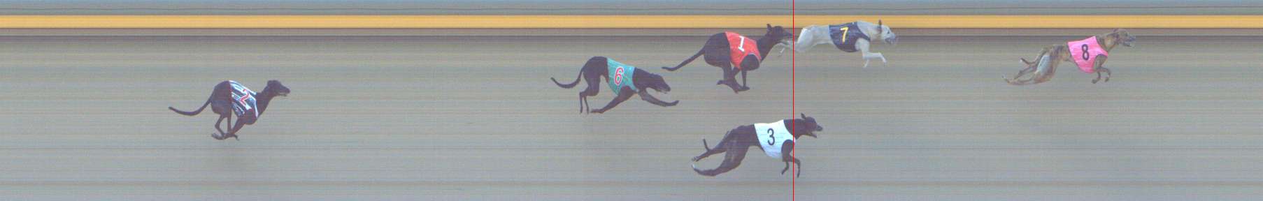 Photo finish for Shepparton Race 8
