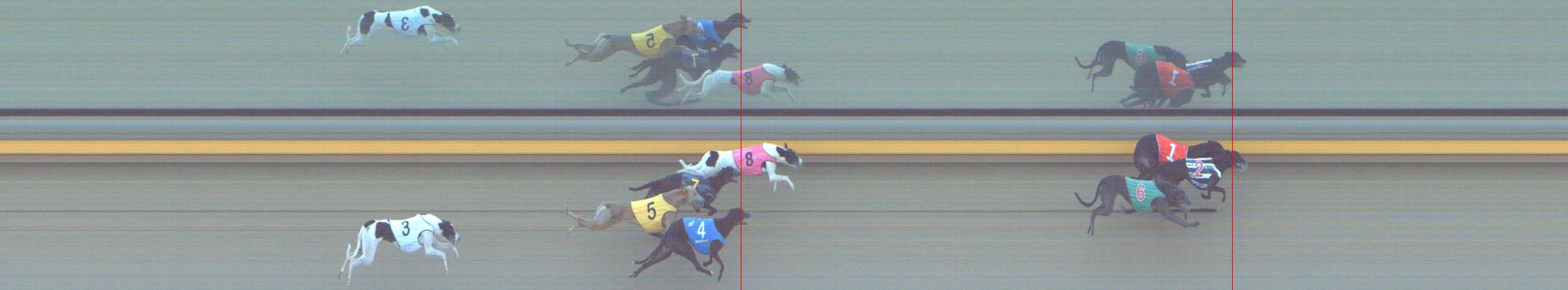 Photo finish for Shepparton Race 9