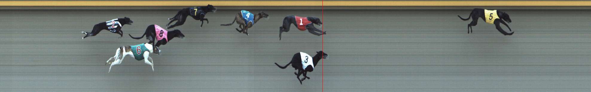 Photo finish for Shepparton Race 10