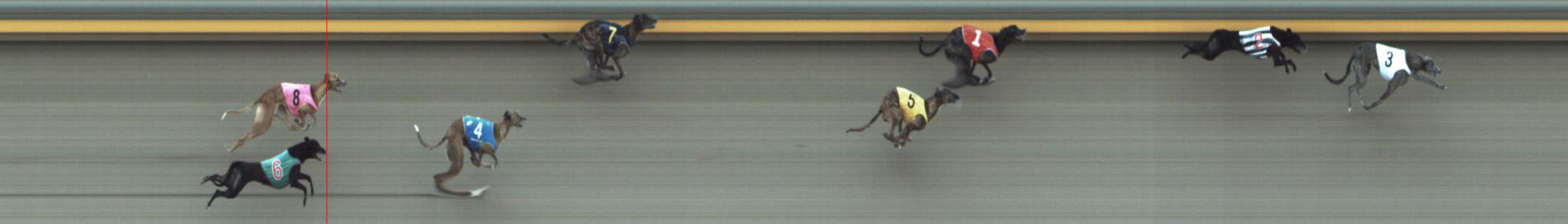 Photo finish for Shepparton Race 11