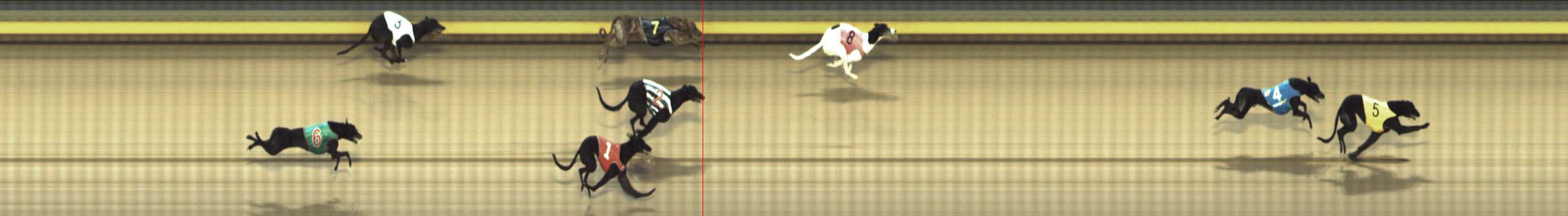 Photo finish for Shepparton Race 12