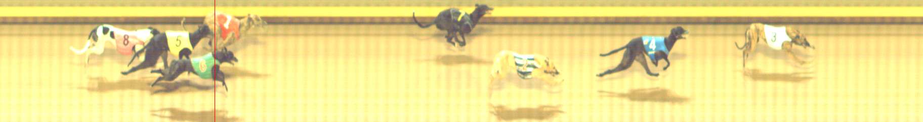 Photo finish for Shepparton Race 13