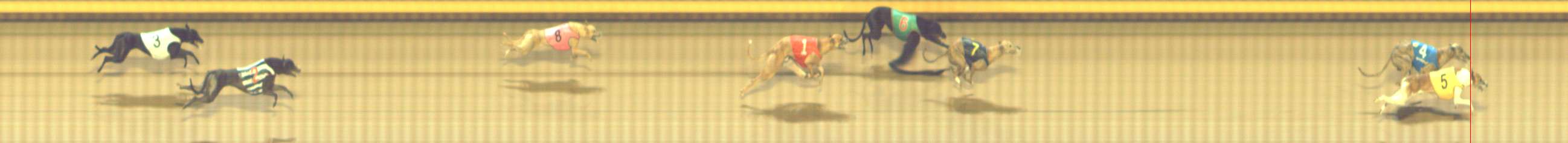 Photo finish for Shepparton Race 14