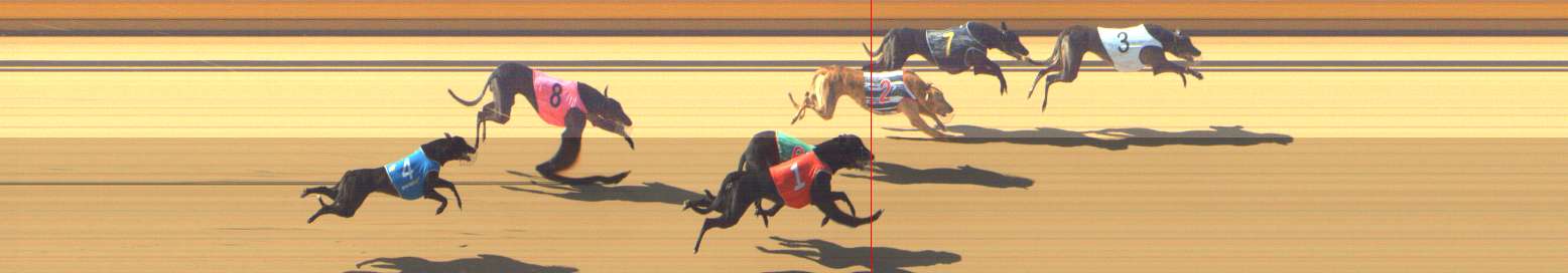 Photo finish for Shepparton Race 1
