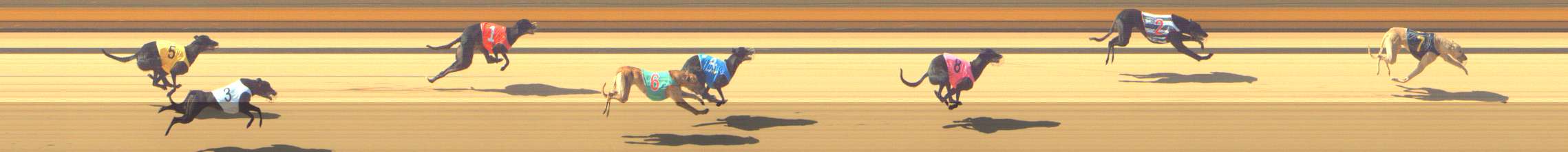Photo finish for Shepparton Race 2