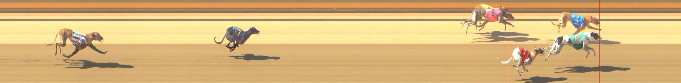 Photo finish for Shepparton Race 3