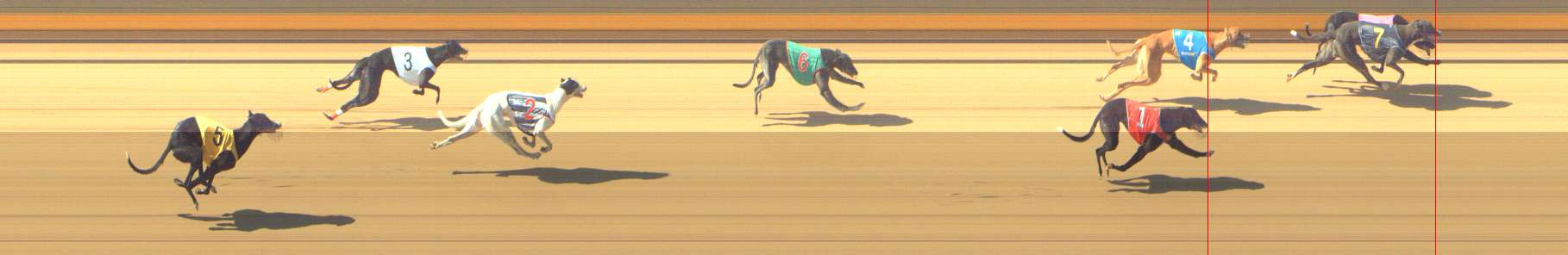 Photo finish for Shepparton Race 4