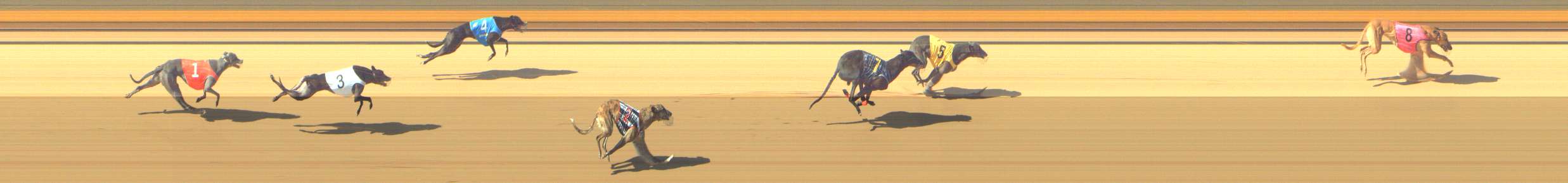 Photo finish for Shepparton Race 5