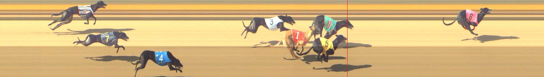 Photo finish for Shepparton Race 6