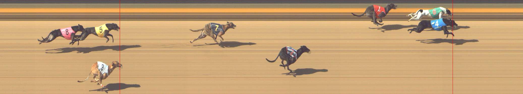 Photo finish for Shepparton Race 7