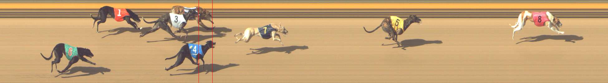 Photo finish for Shepparton Race 8