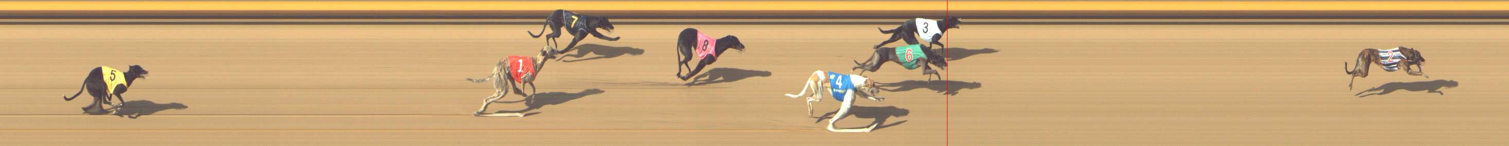 Photo finish for Shepparton Race 9