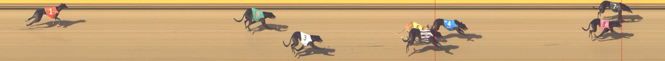 Photo finish for Shepparton Race 10