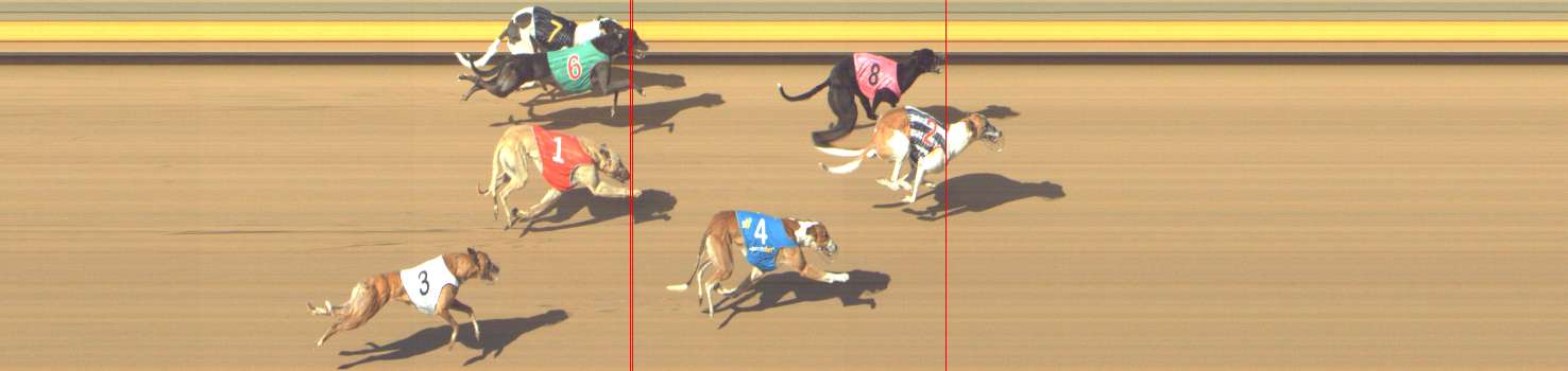 Photo finish for Shepparton Race 11