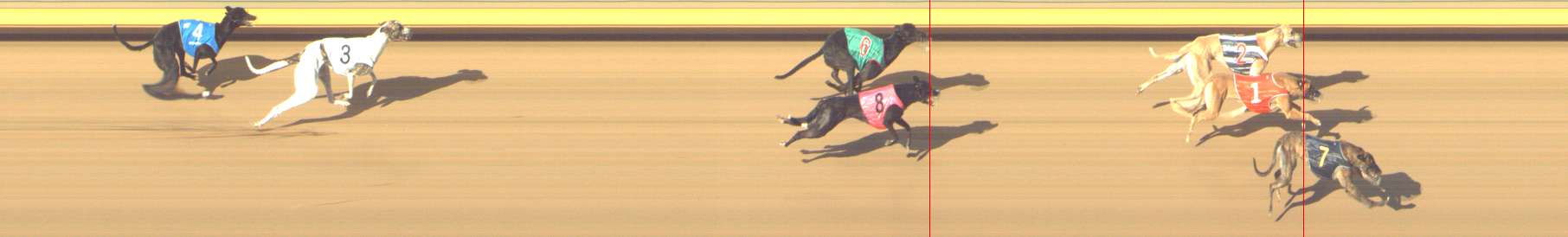 Photo finish for Shepparton Race 12