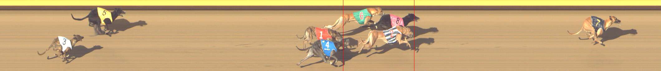 Photo finish for Shepparton Race 13