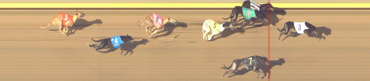 Photo finish for Shepparton Race 14