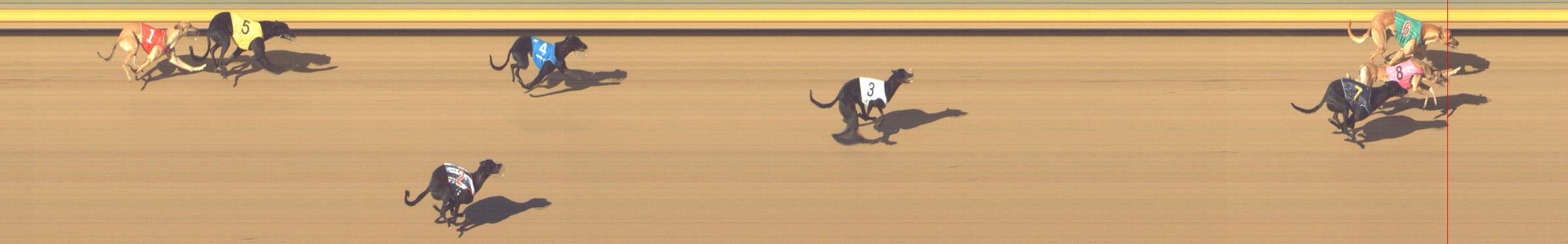 Photo finish for Shepparton Race 1