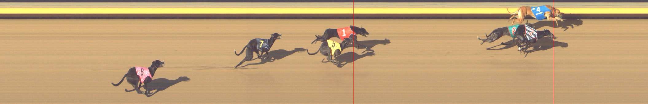 Photo finish for Shepparton Race 2