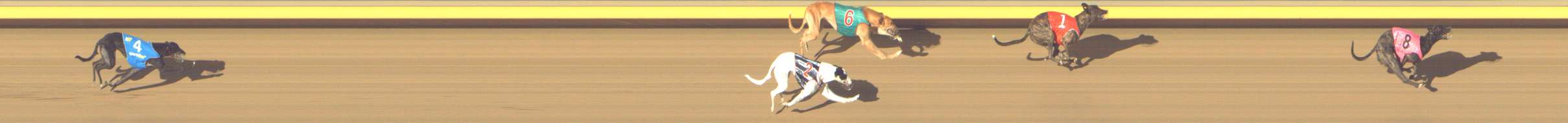 Photo finish for Shepparton Race 3
