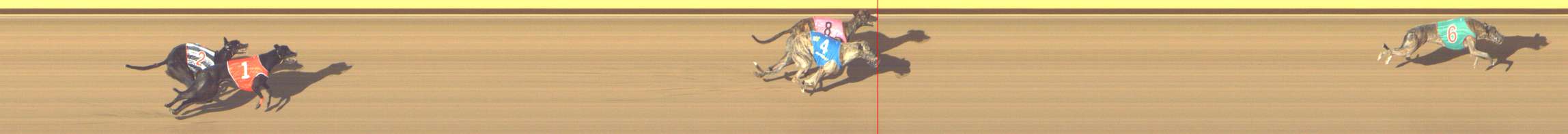 Photo finish for Shepparton Race 4