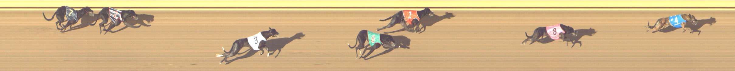 Photo finish for Shepparton Race 5