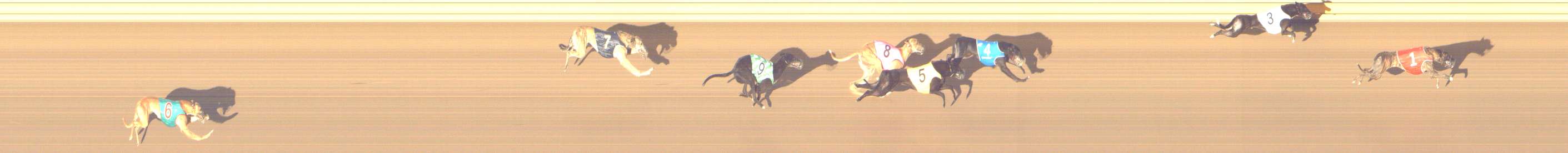 Photo finish for Shepparton Race 6
