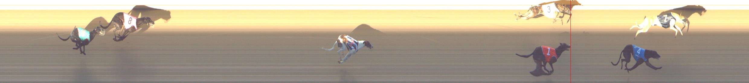 Photo finish for Shepparton Race 7