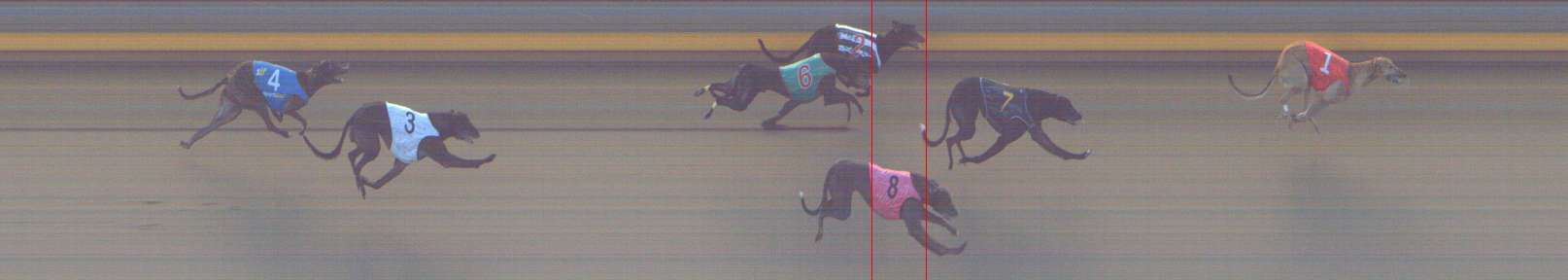 Photo finish for Shepparton Race 8