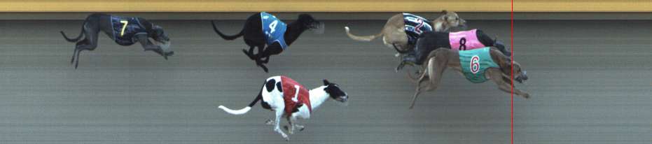 Photo finish for Shepparton Race 9