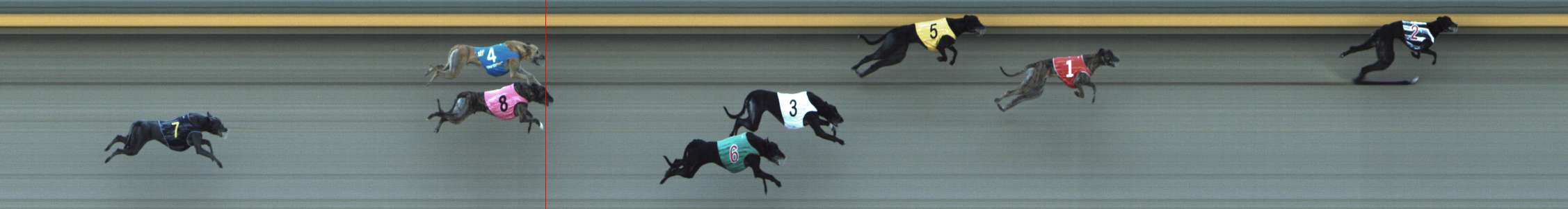 Photo finish for Shepparton Race 10