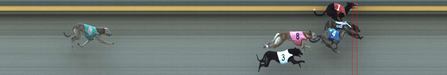 Photo finish for Shepparton Race 11